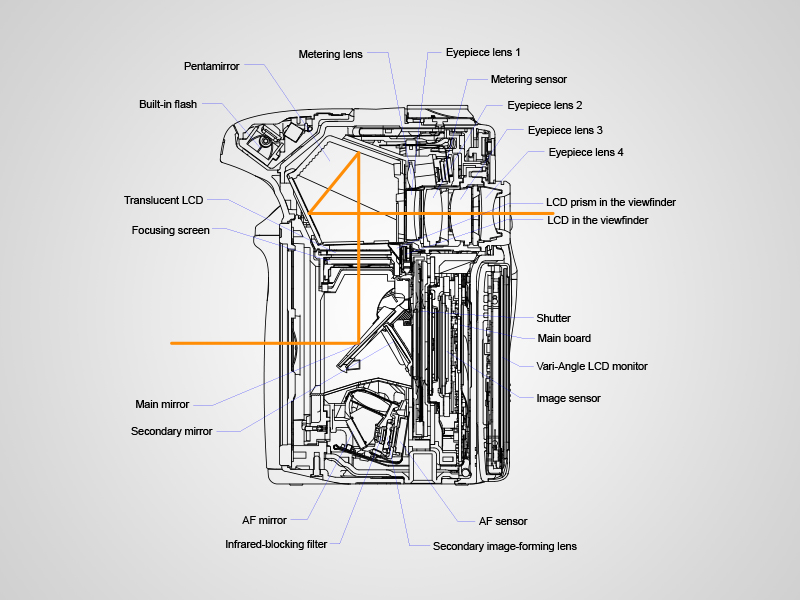 Source and copyright: Canon Europe