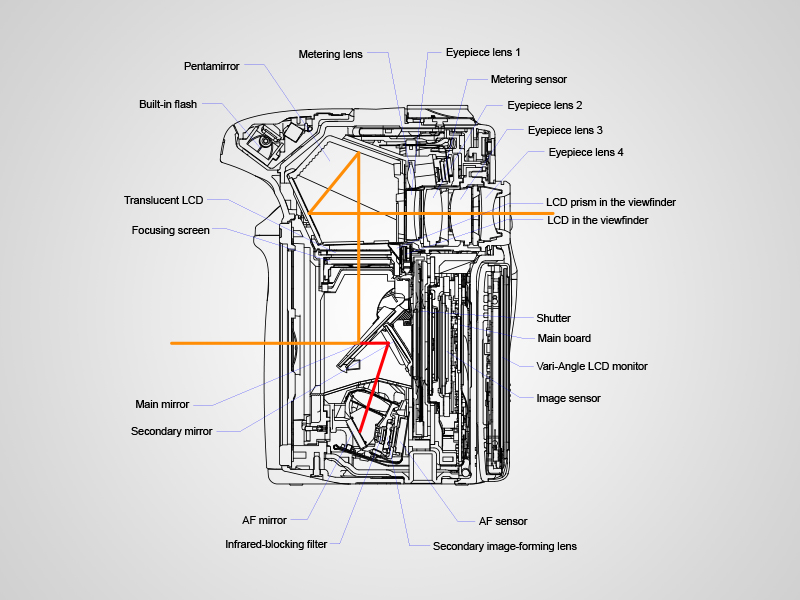 Source and copyright: Canon Europe