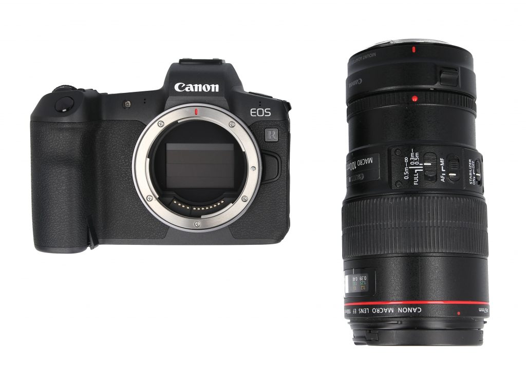 Canon EOS R z obiektywem macro